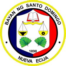 web designer nueva ecija|Santo Domingo, Nueva Ecija .
